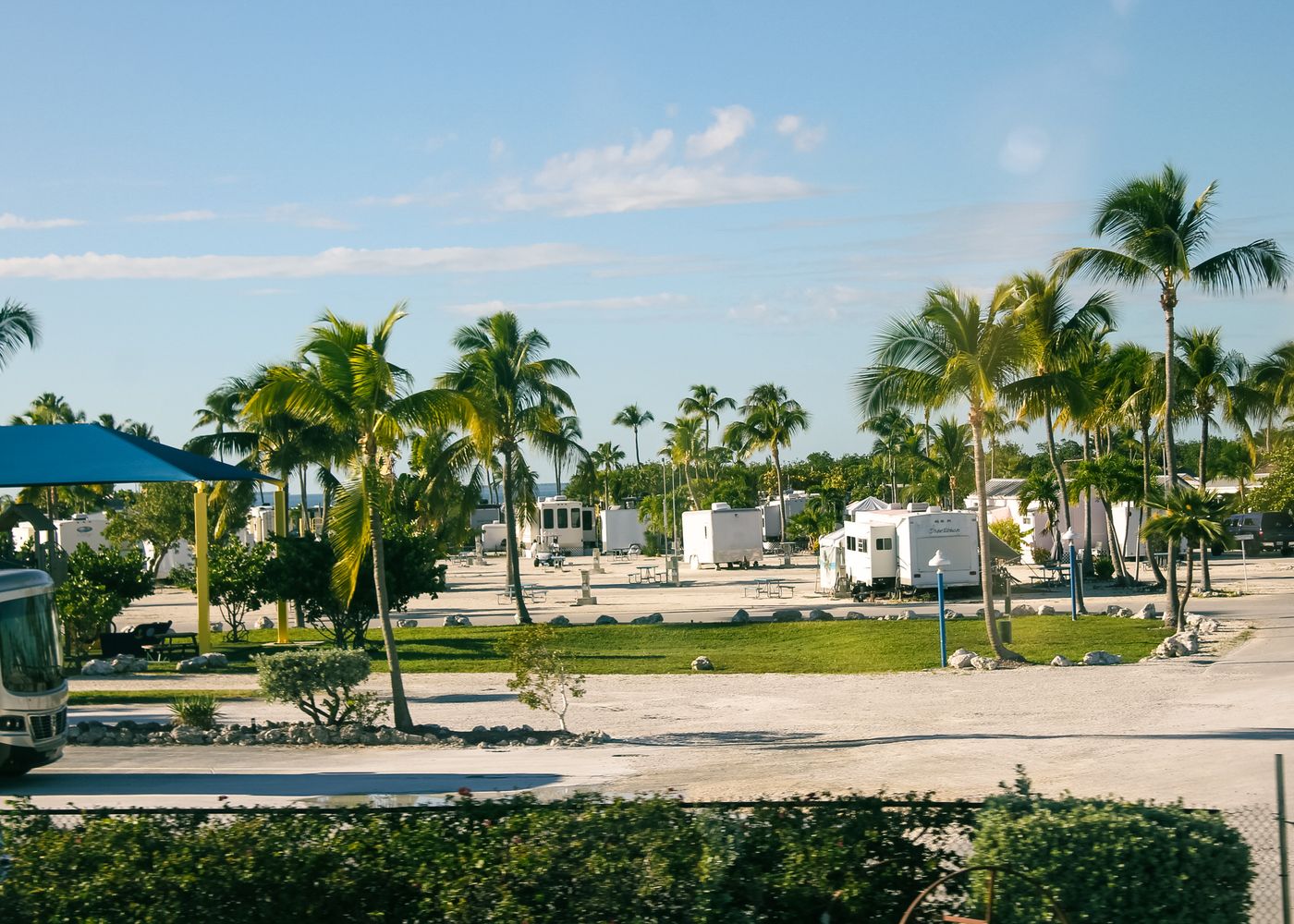RV park with travel trailers and motorhomes on gravel sites among palm trees near the water